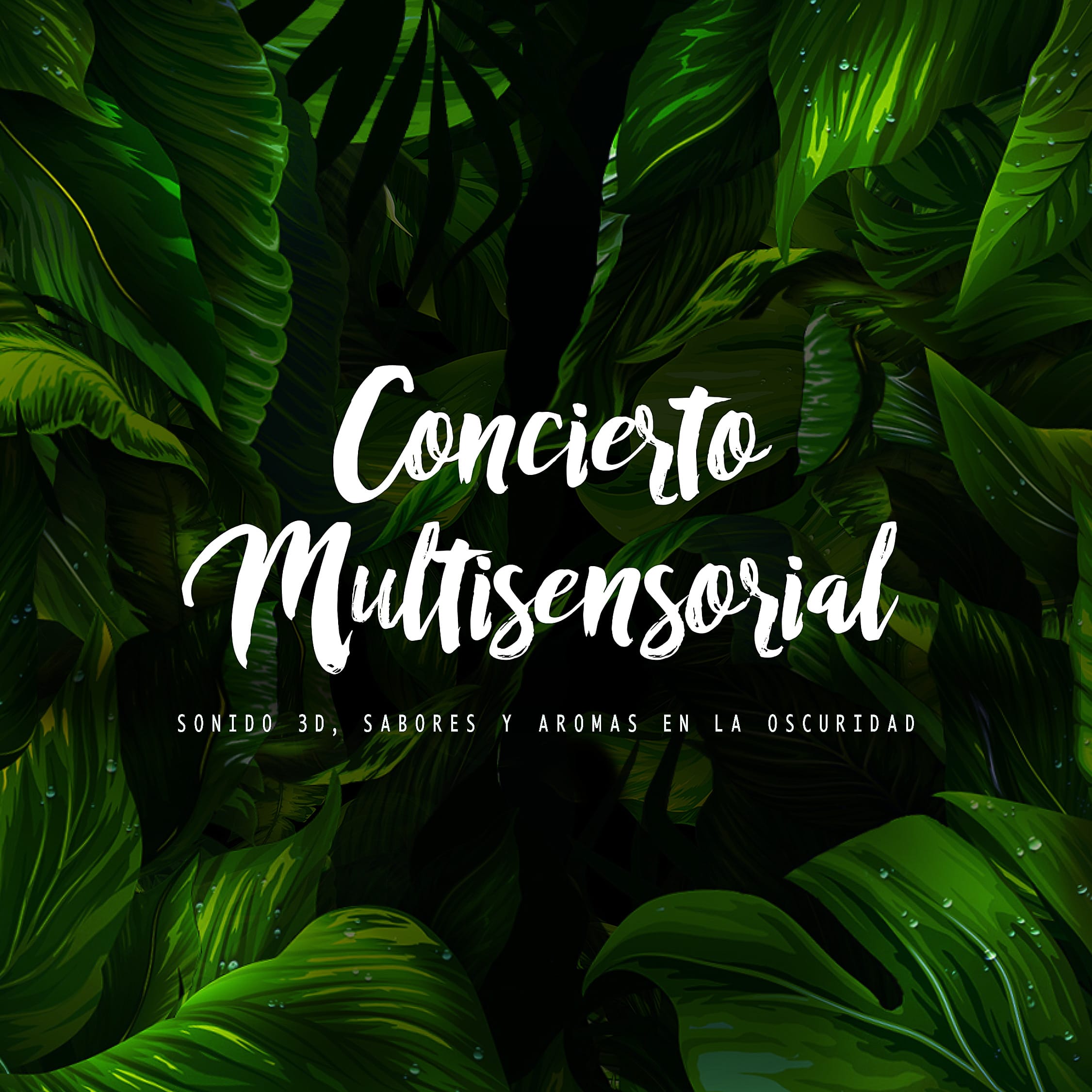 Concierto Multisensorial - Halaken Art