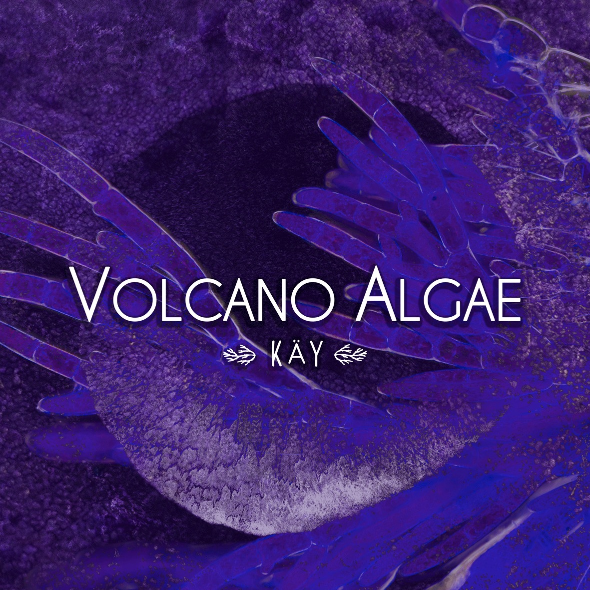Volcano Algae - Käy -HalaKen Art