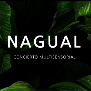 Nagual - Concierto Multisensorial